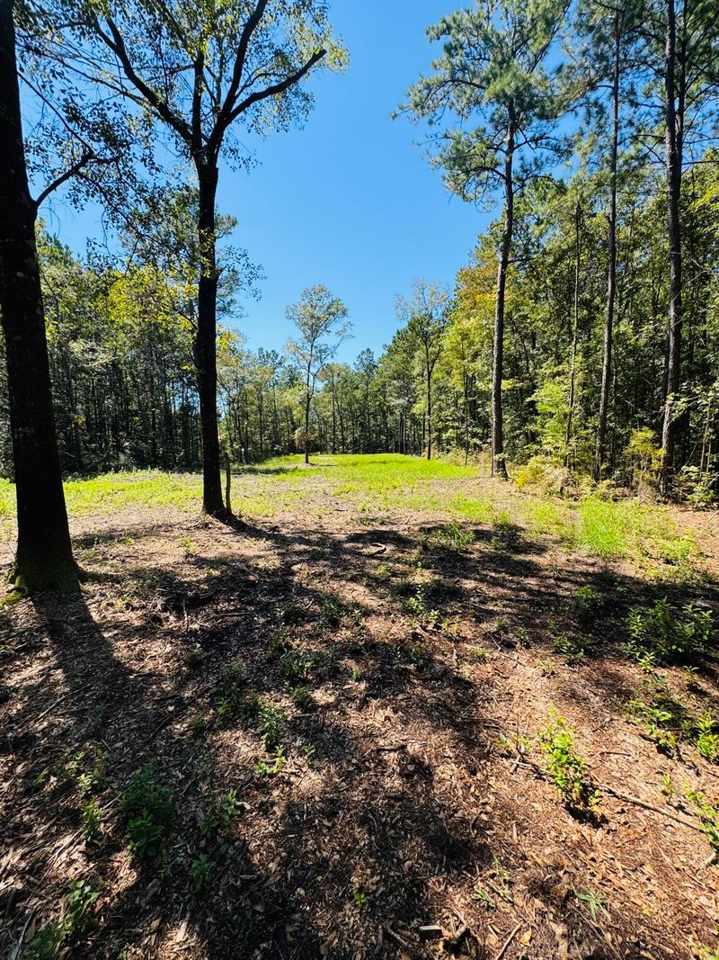 00 Mcdanieltown Rd, Ridgeville, SC 29472