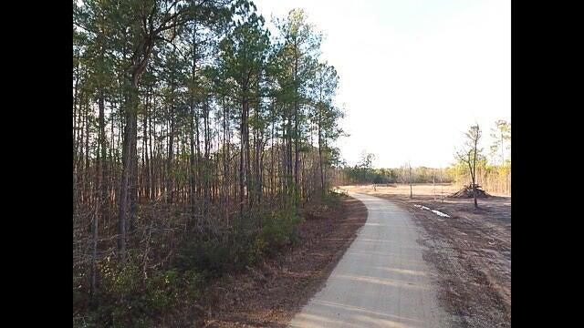 265 Shiver Farms Ln, Saint Stephen, SC 29479