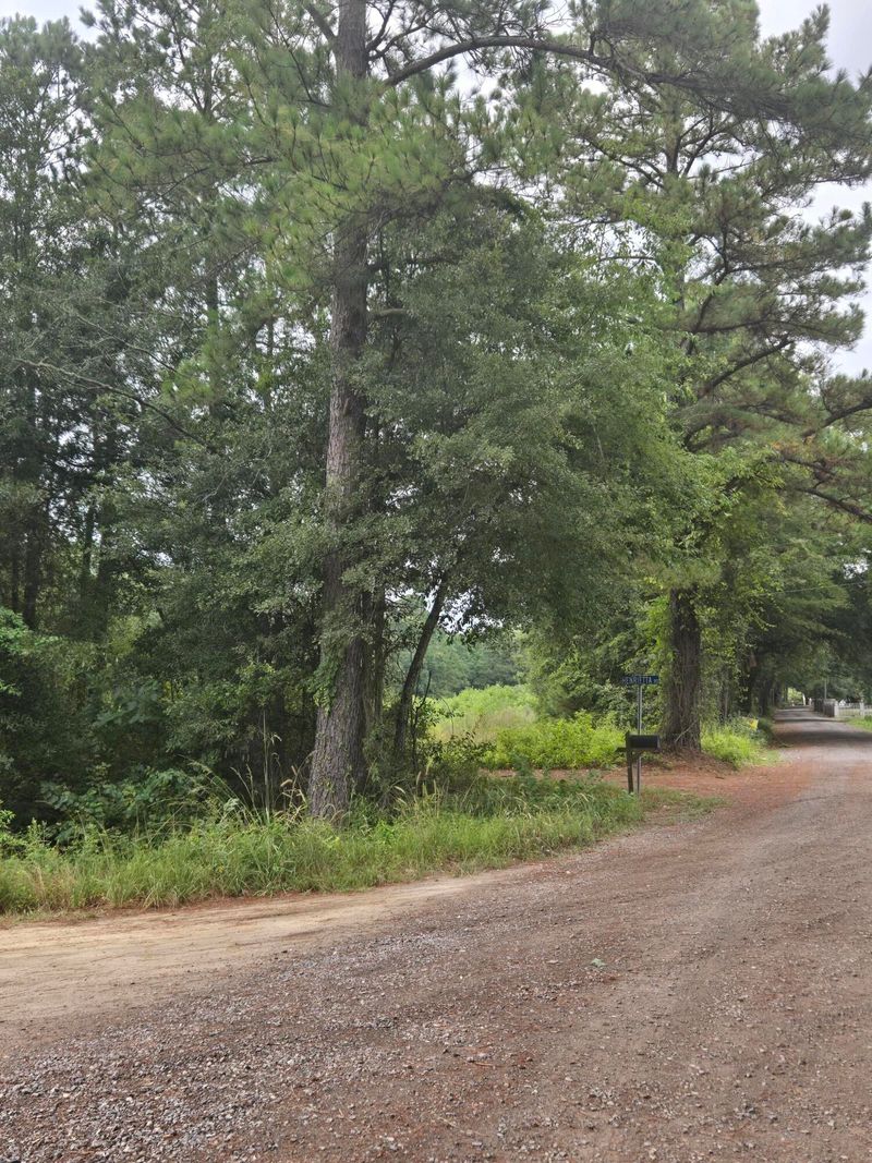 00 Rodenberry Rd, Cross, SC 29436