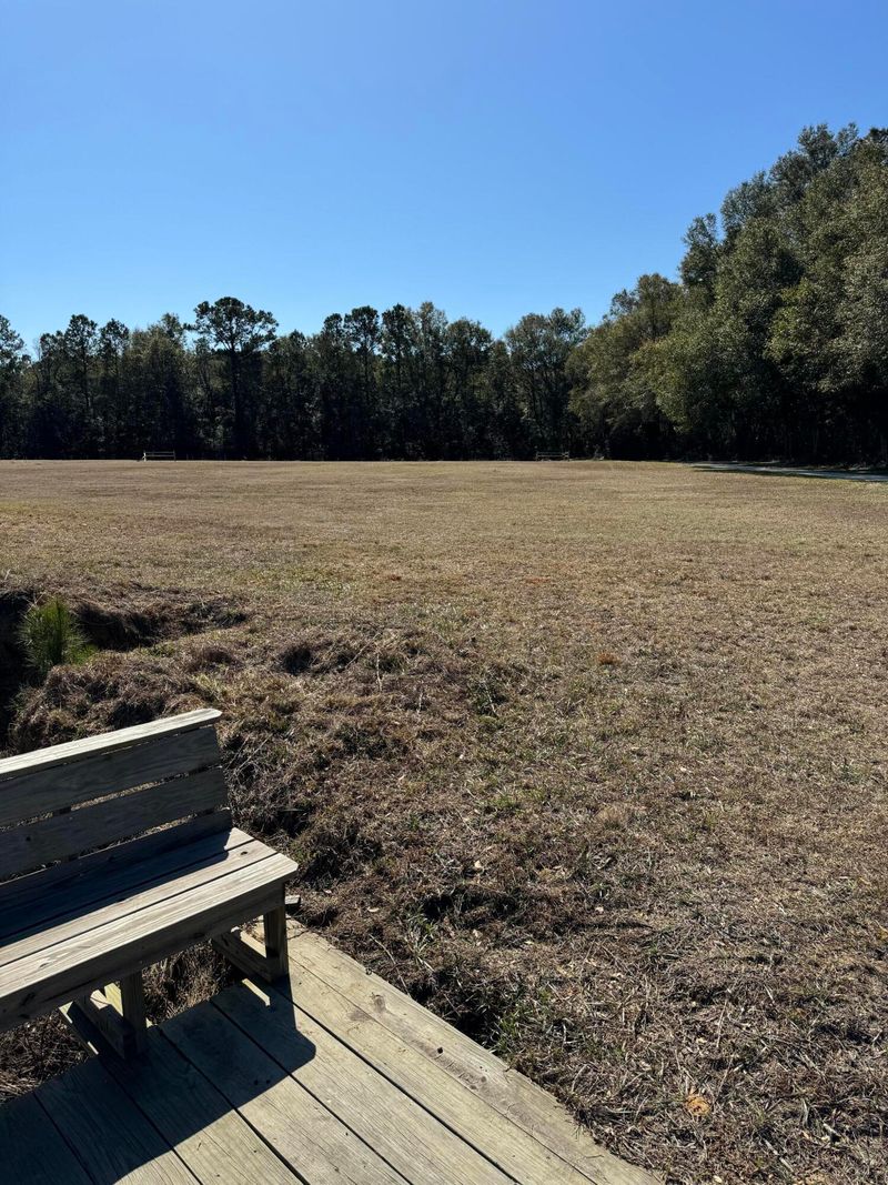 8250 Crooked Creek Ln, Edisto Island, SC 29438