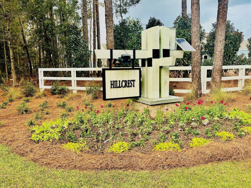 2204 Macallan Blvd, Ravenel, SC 29470