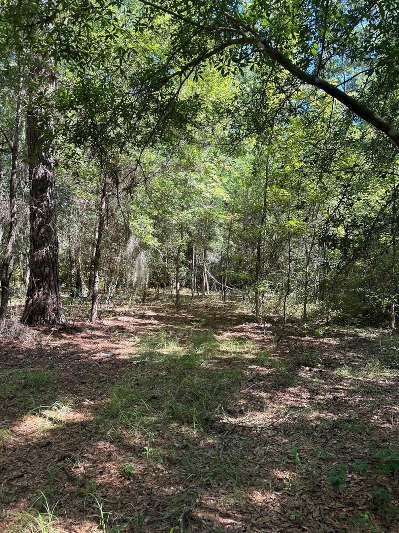6371 Bears Bluff Rd, Wadmalaw Island, SC 29487