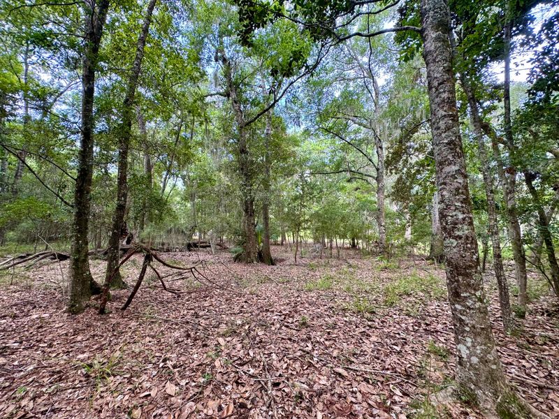 8424 Palmetto Rd, Edisto Island, SC 29438