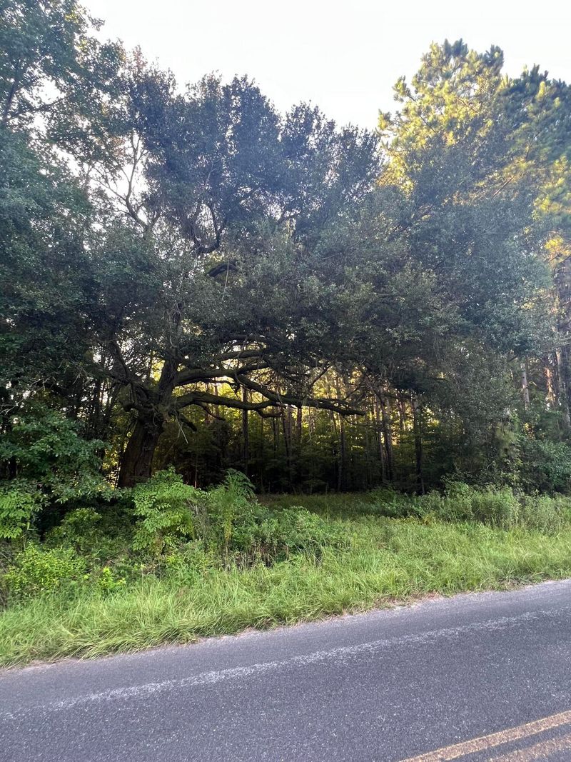 5054 Doctor Taylor Rd, Hollywood, SC 29449