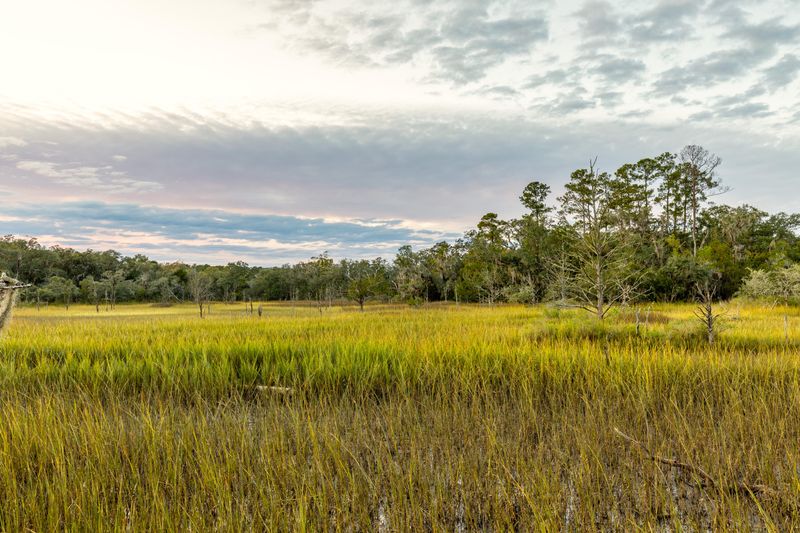 6210 Church Flats Rd, Hollywood, SC 29449