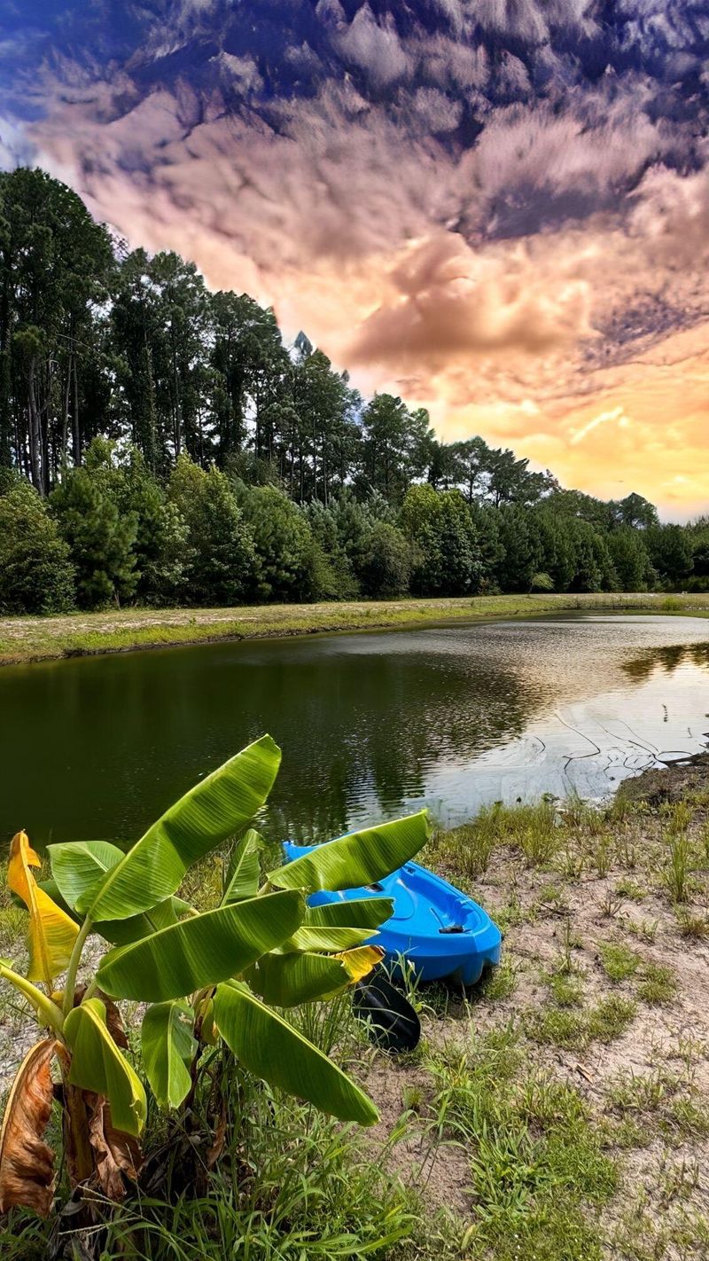 7895 Steamboat Landing Rd, Edisto Island, SC 29438