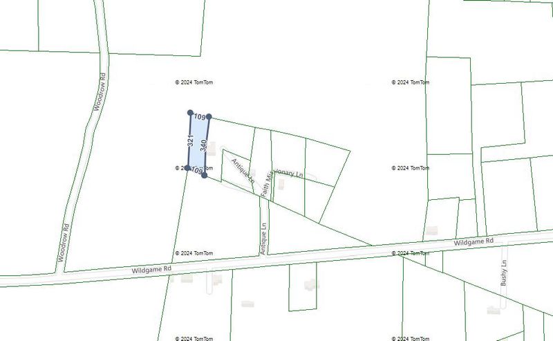 Tract 1 Antique Ln, Summerville, SC 29486
