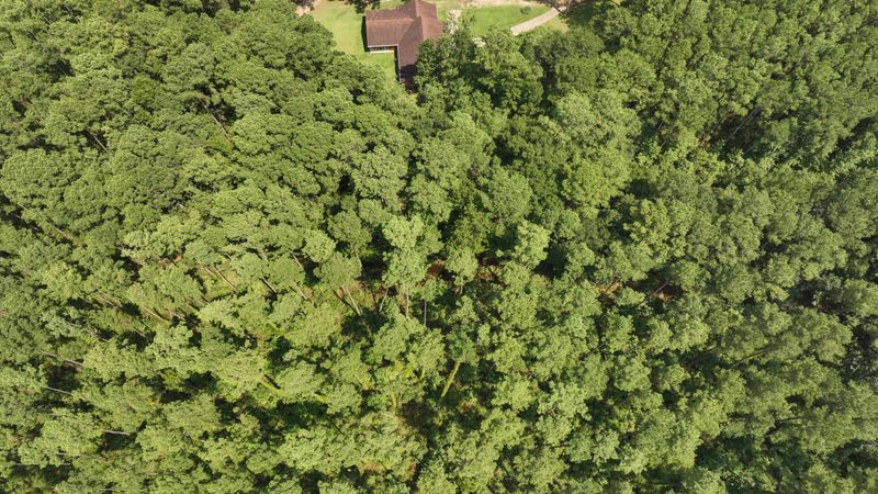 Tract 1 Antique Ln, Summerville, SC 29486