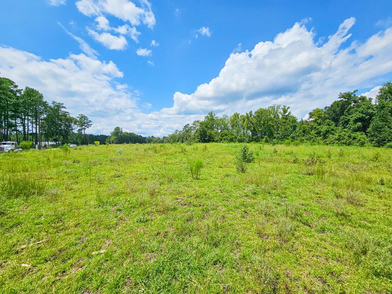 0 Bells Highway & Jones Swamp Hw, Walterboro, SC 29488
