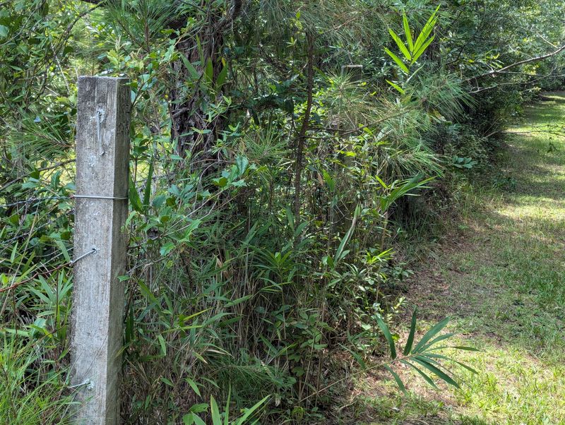 9 Hyde Farm Rd, Ravenel, SC 29470