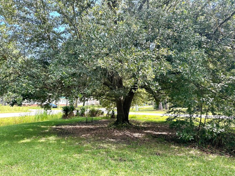 475 Renau Blvd, Summerville, SC 29483