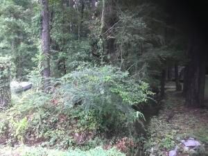 0 Community Rd, Summerville, SC 29485