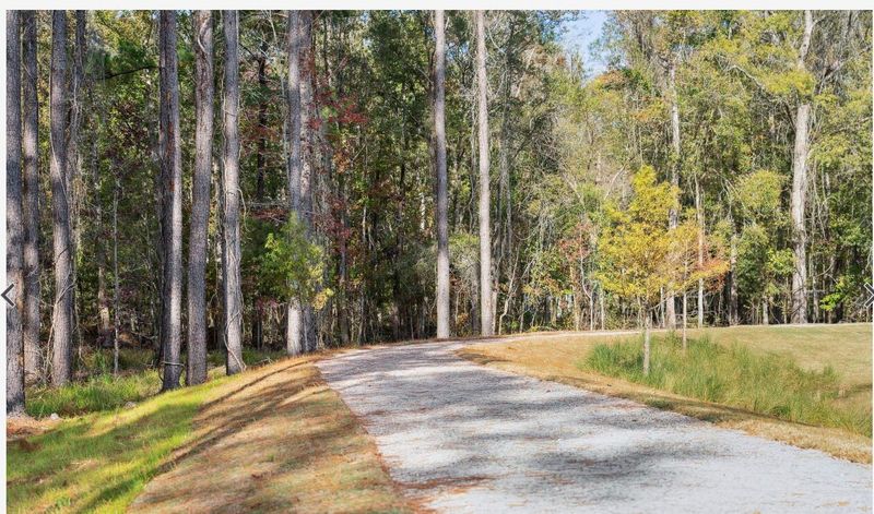 1356 Locals St, Summerville, SC 29485