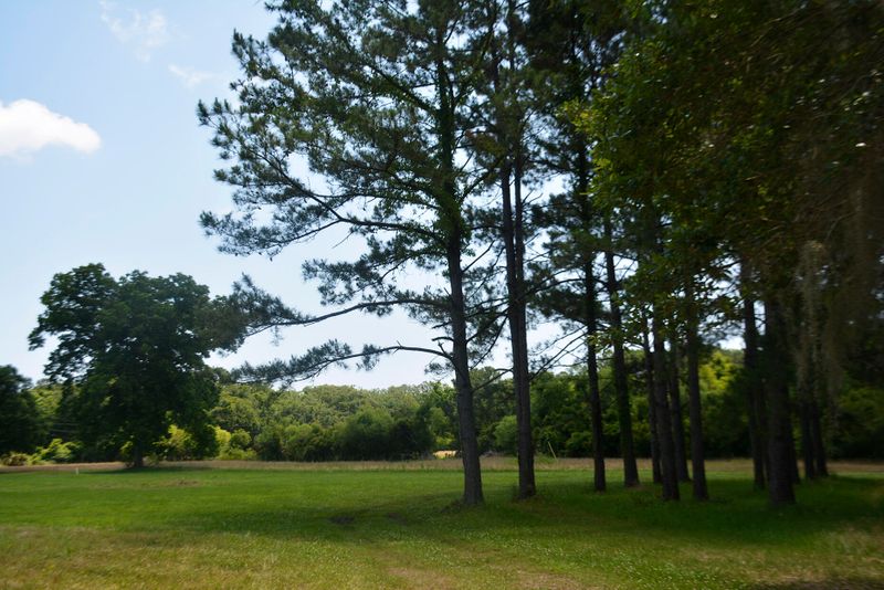 7949 Legare Rd, Edisto Island, SC 29438