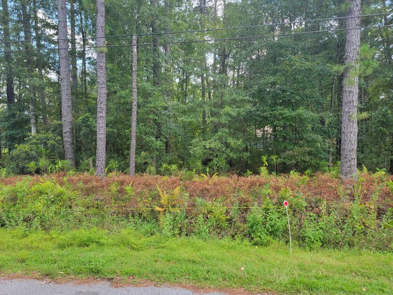 6113 Young St, Ravenel, SC 29470