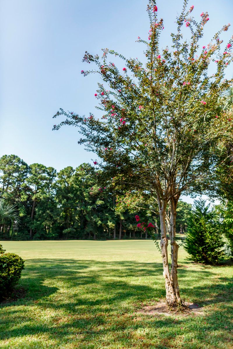 802 Ventura Pl, Mount Pleasant, SC 29464