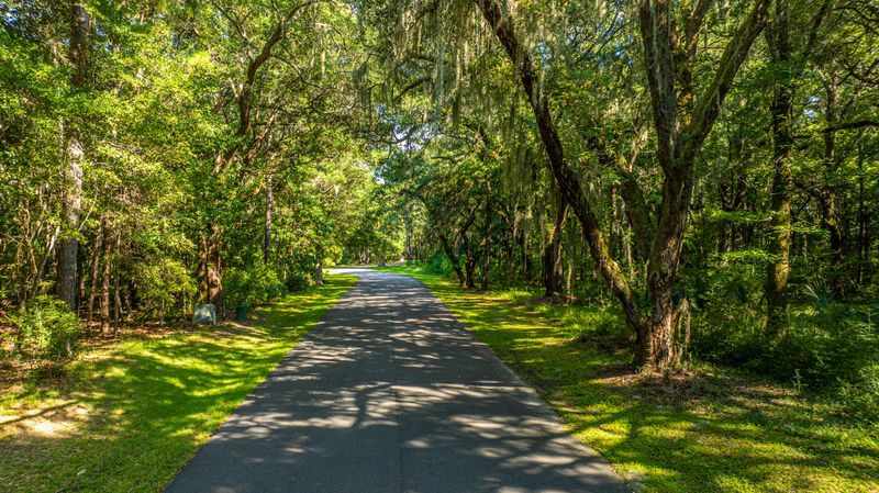 3858 Gnarled Oaks Ln, Johns Island, SC 29455