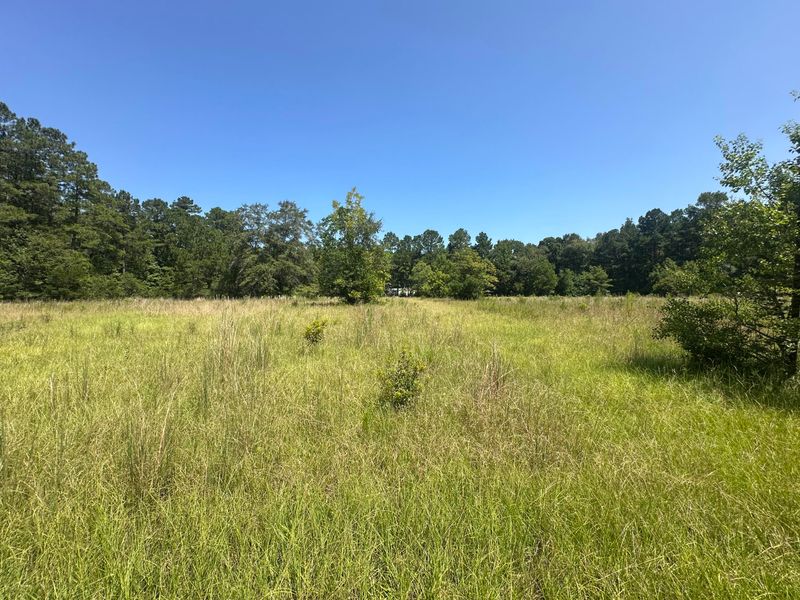 141 Honey Bee Rd, Moncks Corner, SC 29461