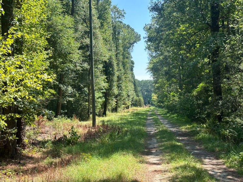 141 Honey Bee Rd, Moncks Corner, SC 29461