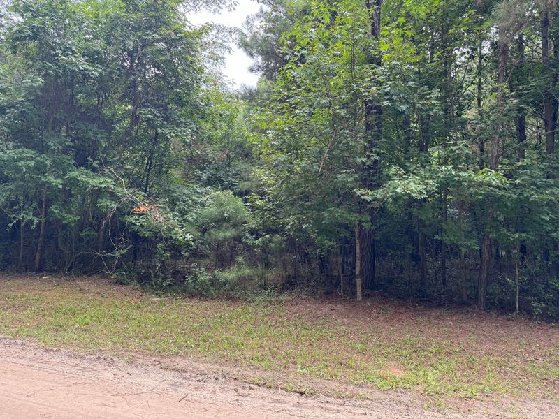 0 Michelle Ln, Johns Island, SC 29455