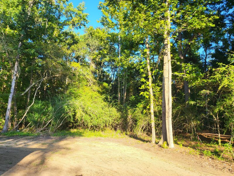 976 S Main St, Saint Stephen, SC 29479