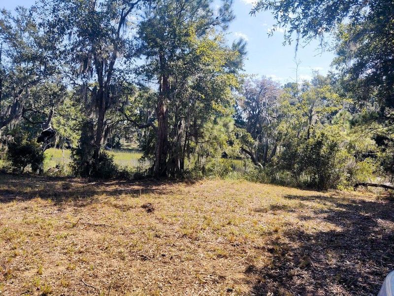 3 Chaplin Garden Ln, Edisto Island, SC 29438