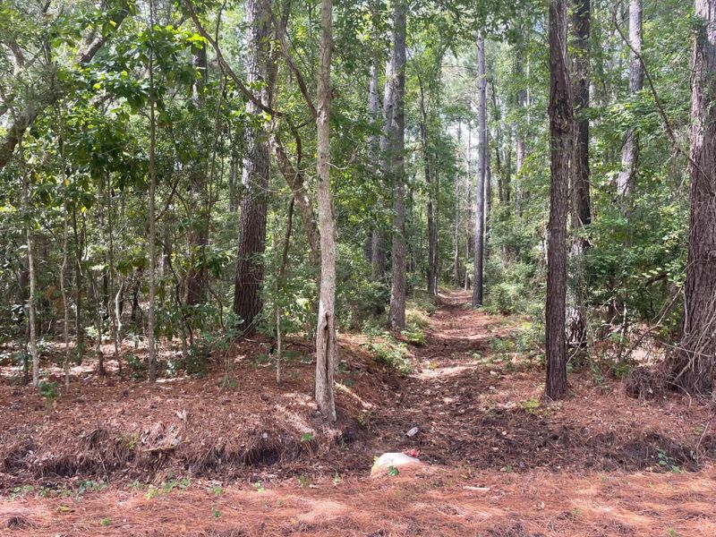 0 South Santee Rd, Mcclellanville, SC 29458