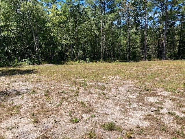 Oo Wildgame Rd Lot 3, Summerville, SC 29485