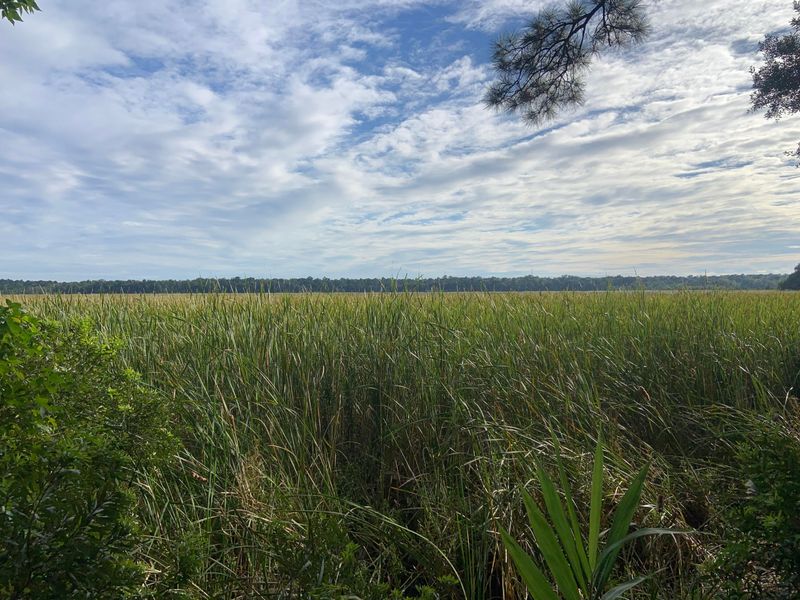 8317 Wild Indigo Bluff, North Charleston, SC 29418