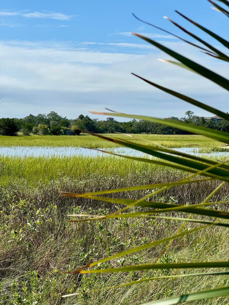 7783 Legare Rd, Edisto Island, SC 29438