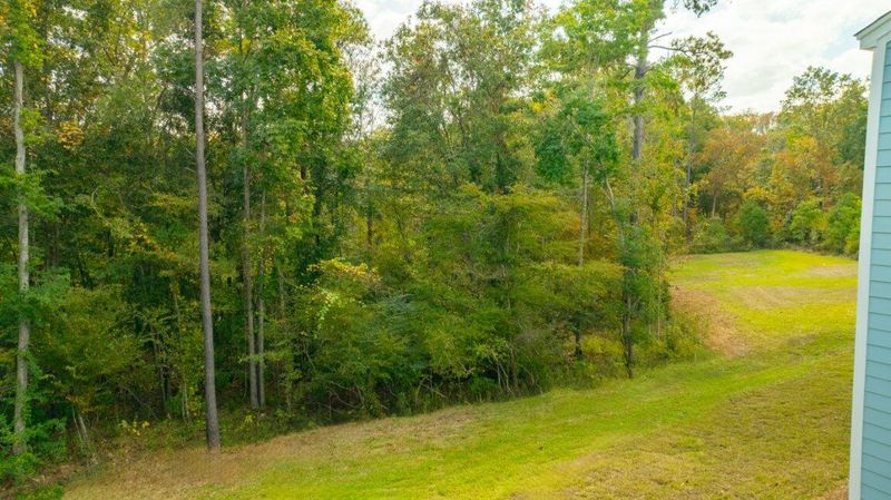 361 Willows Crescent Dr, Moncks Corner, SC 29461