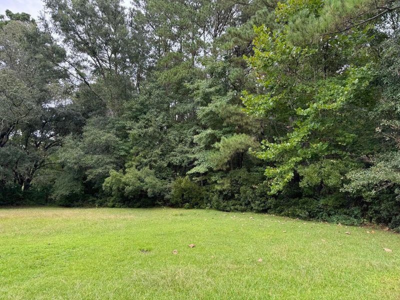 324 Disabled Ln, Moncks Corner, SC 29461