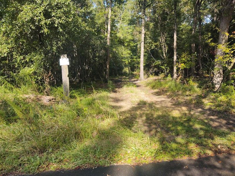Lot A Shell House Rd, Edisto Island, SC 29438