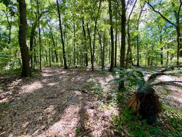 0 Yellow House Pl Lot 4, Charleston, SC 29492