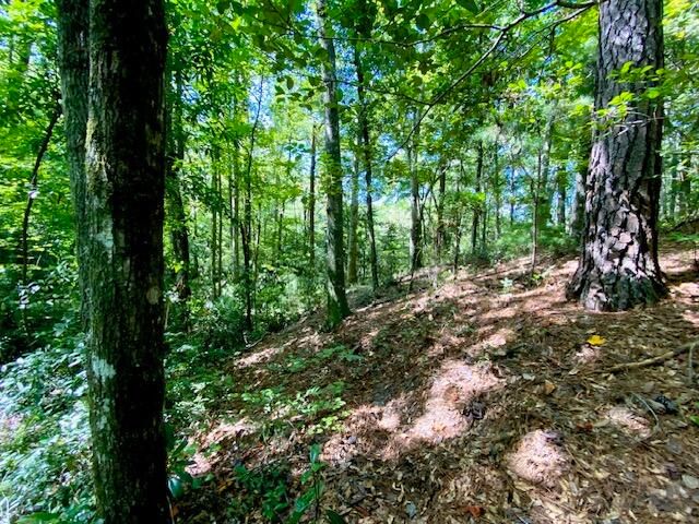0 Yellow House Pl Lot 4, Charleston, SC 29492
