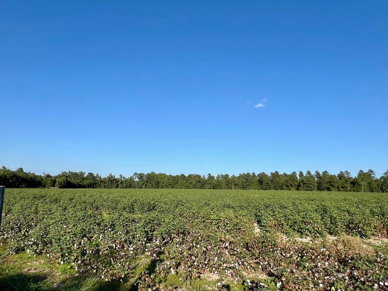 Lot 2 S Hwy 15, Saint George, SC 29477