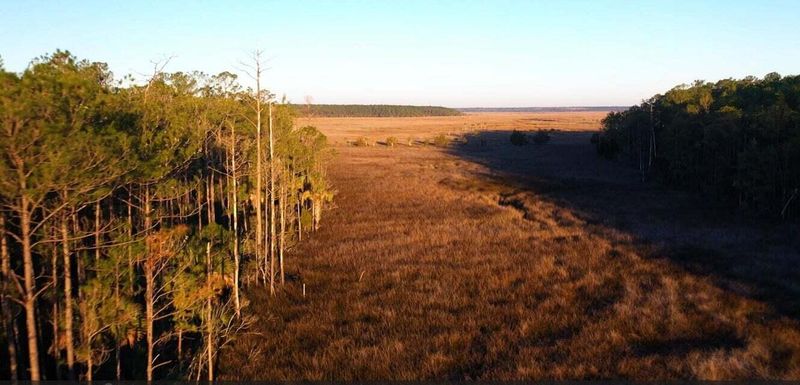 1461 Jeremy Cay Ct Lot 110, Awendaw, SC 29429