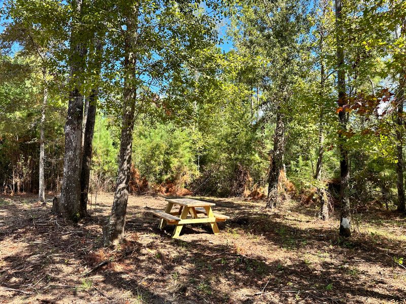 0 Albert Ln, Ridgeville, SC 29472