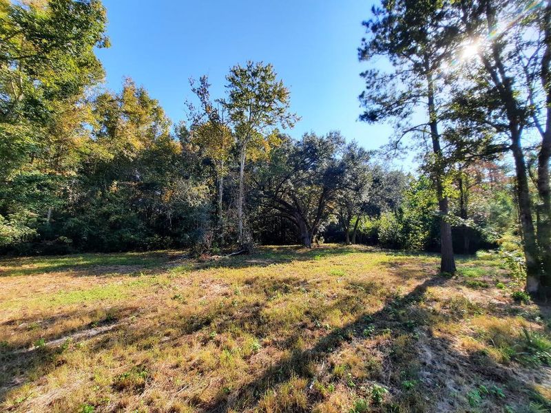 769 Main Rd, Johns Island, SC 29455