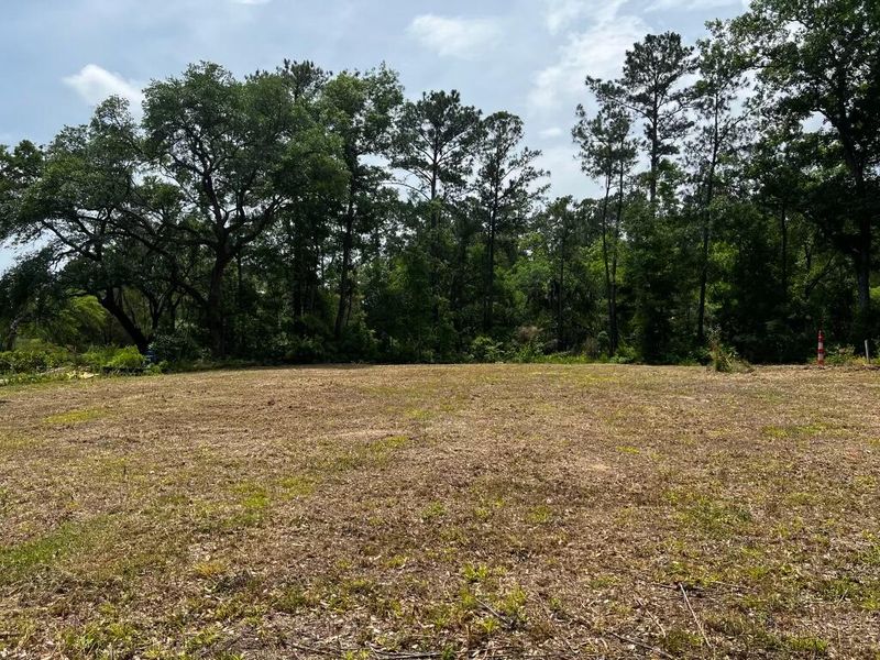 121 Fiddler Crab Ln, Charleston, SC 29492
