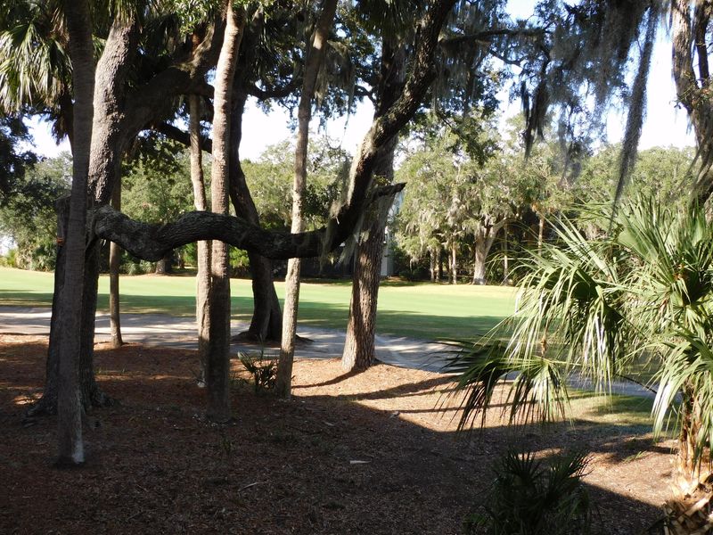 265 Sea Cloud Cir, Edisto Island, SC 29438