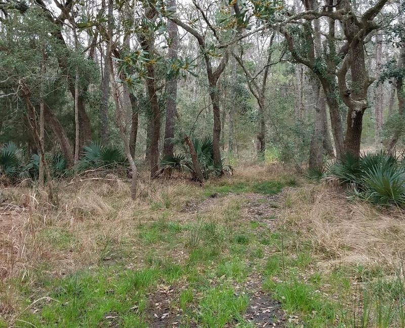 6526 Beagle Club Rd, Meggett, SC 29449