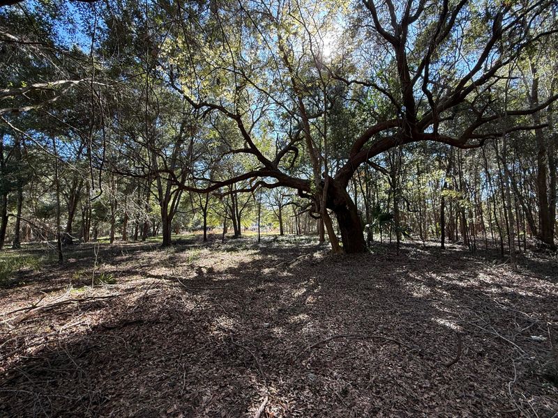 8341 Crooked Creek Ln, Edisto Island, SC 29438