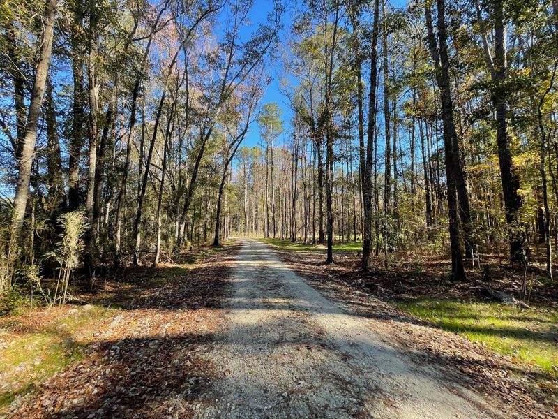 4 Fish Rd, Ridgeville, SC 29472