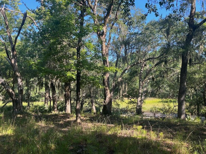 6533 Riggs Ln, Yonges Island, SC 29449