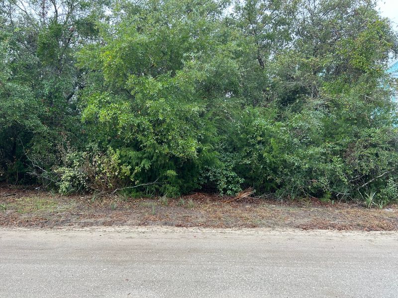 2306 Seabrook St, Edisto Island, SC 29438