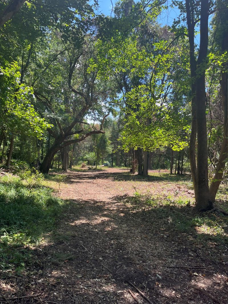 4280 River Rd, Johns Island, SC 29455