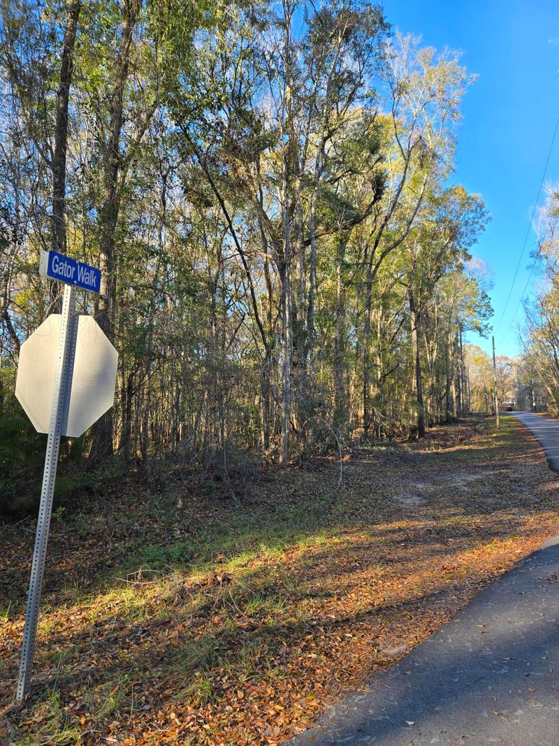 0 Gator Walk, Ridgeville, SC 29472
