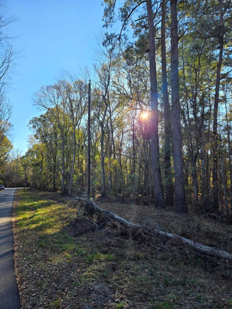 0 Gator Walk, Ridgeville, SC 29472