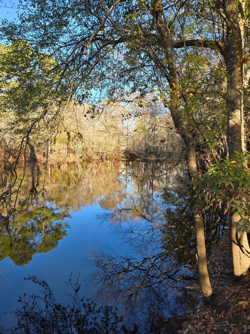 0 Gator Walk, Ridgeville, SC 29472